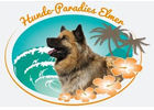 Hundeparadies Elmer