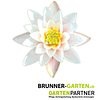 Brunner-Garten.ch
