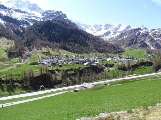 Sennerei-Genossenschaft