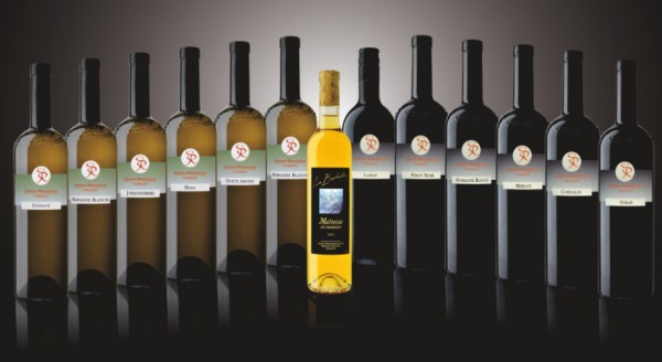 Cave Stéphane Rémondeulaz