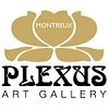 Plexus Art Gallery