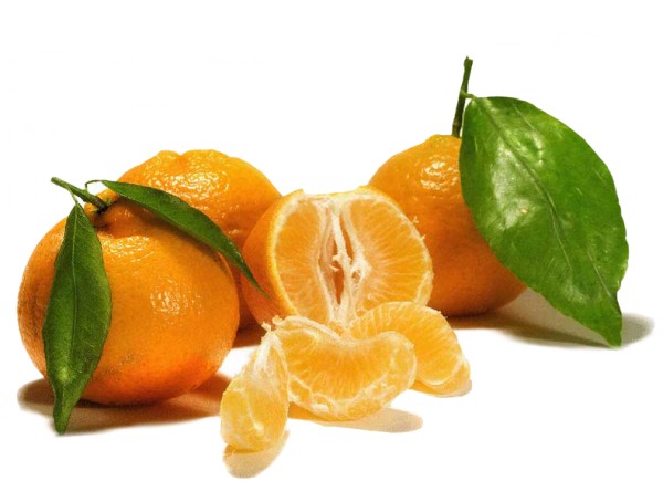 Ernährungsberatung Denise Kaufmann