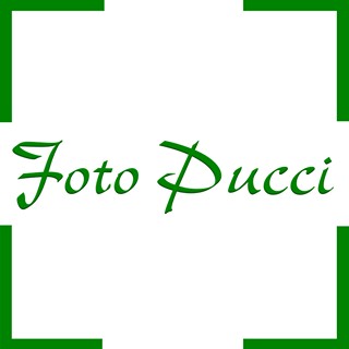 Foto Pucci S.a g.l.