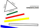 Kinesiologie Integrative