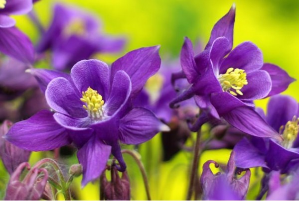 Bestattungsdienst Hedy Linder-Walther AG