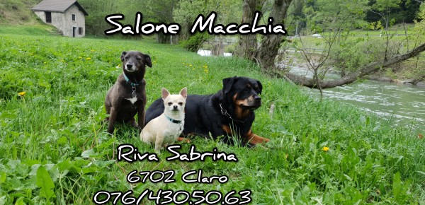 Salone Macchia Riva Sabrina