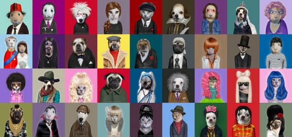 Cabinet Vétérinaire Mont-sur-Rolle