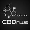 CBD plus, Michael Reijnhoudt
