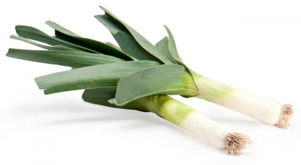 Hofmann Früchte & Gemüse GmbH