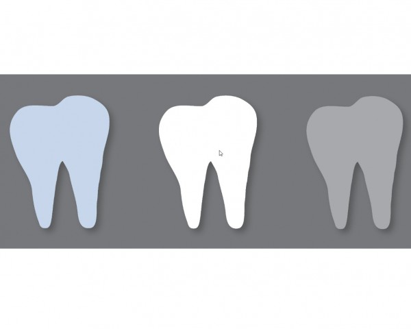Dr. med. dent. Zahnarztpraxis Dr. Bernhard Schenk AG
