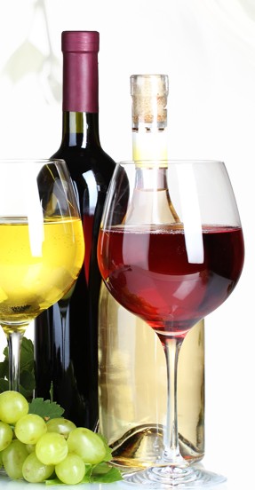 Vinvilla Weinhandel Meier