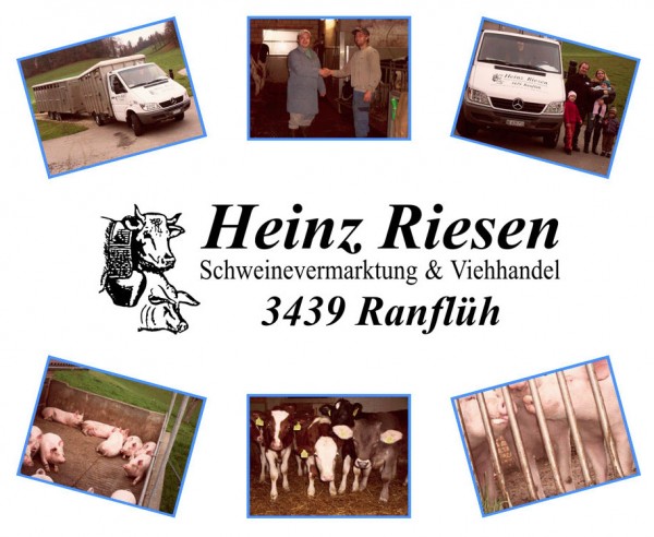 Riesen Heinz Schweinevermarktung