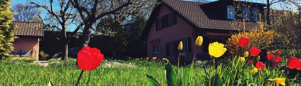 FONDATION STANISLAS, EPSM Les Myosotis