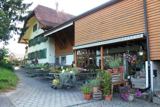 Gärtnerei Forster AG