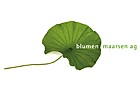 Blumen Maarsen AG