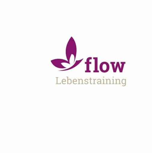 flow Lebenstraining