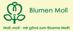 Blumen Moll AG