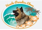 Hundeparadies Elmer GmbH