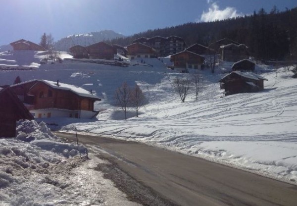 Carron Immobilier SA