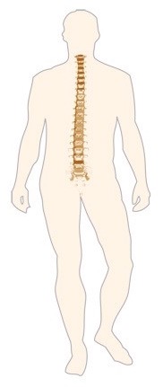 Dr. med. Walder Marcel