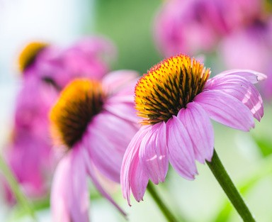 Gesundheitspraxis Karin Bünzli