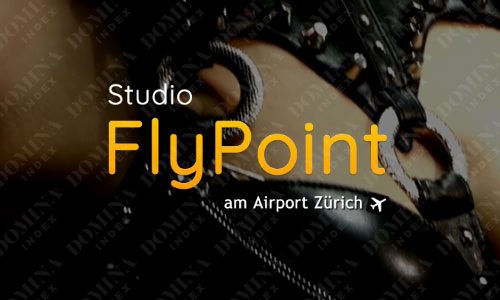 Flypoint