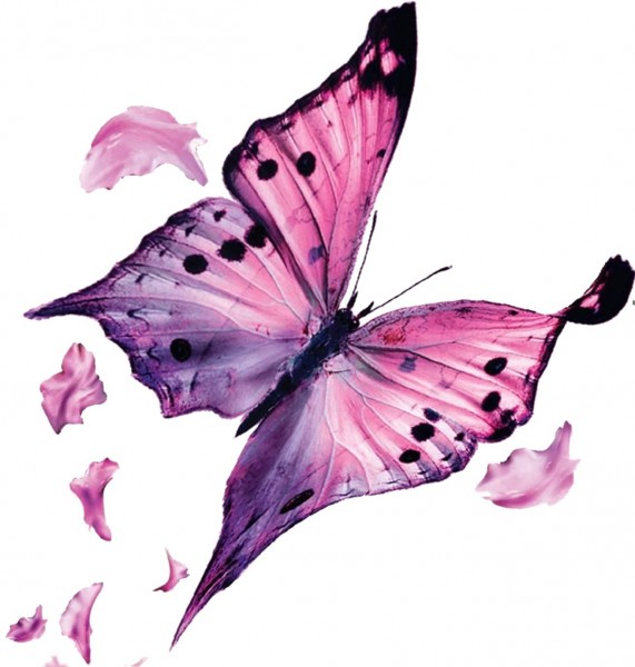 Medizinische Massagepraxis Janine Askar