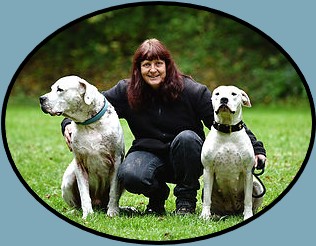 Dogolinos Hundewelt - Jemako