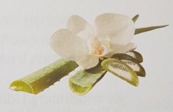 Claudio Menotti Dint. Ind. Ascoaloe