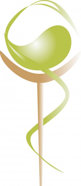 Praxis für Alternativmedizin West-TCM