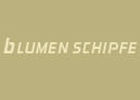 Blumen Schipfe AG