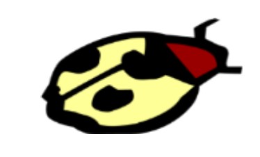 Autocars Favre, Favre Excursions