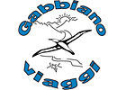 Gabbianoviaggi SA