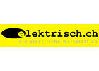 Die elektrische Werkstatt AG