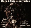 Dogs & Cats Beautysalon