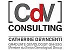 CDV Consulting