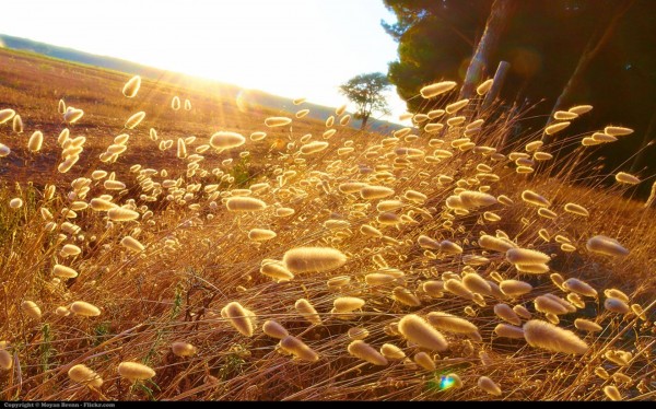 Praxis für Shiatsu Simon Müller