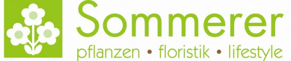 Sommerer & Co