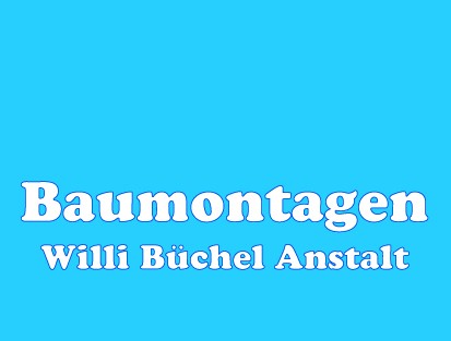 Baumontagen Willi Büchel Anstalt