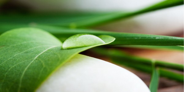 Gesundheitspraxis Margrith Zwicky